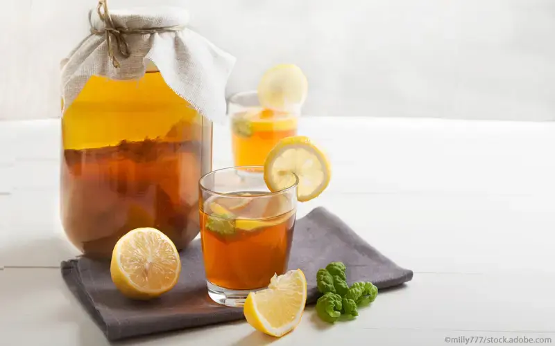 Kombucha