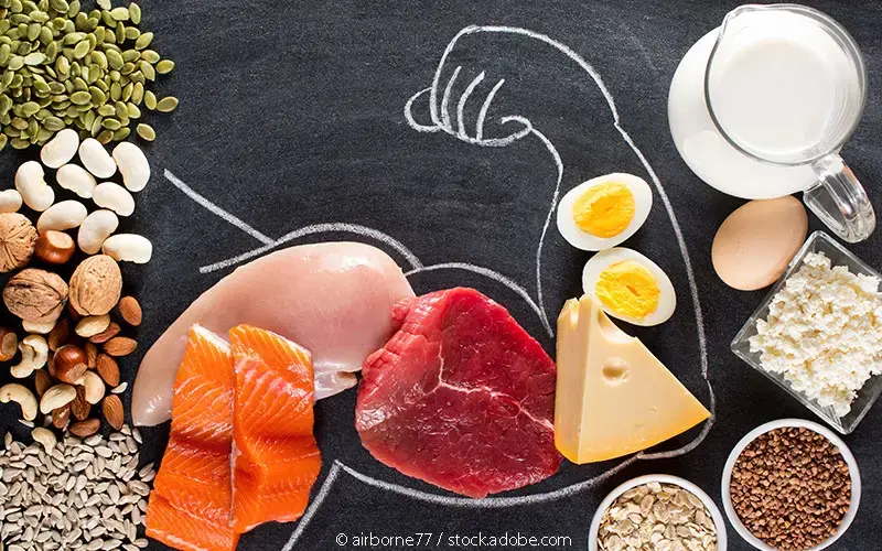 Proteinzufuhr Muskelmasse