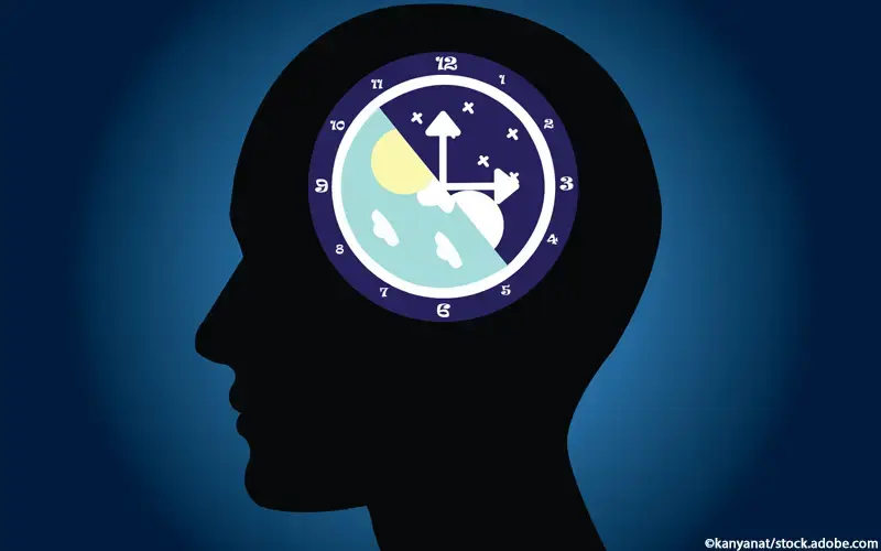 zirkadianer Rhythmus