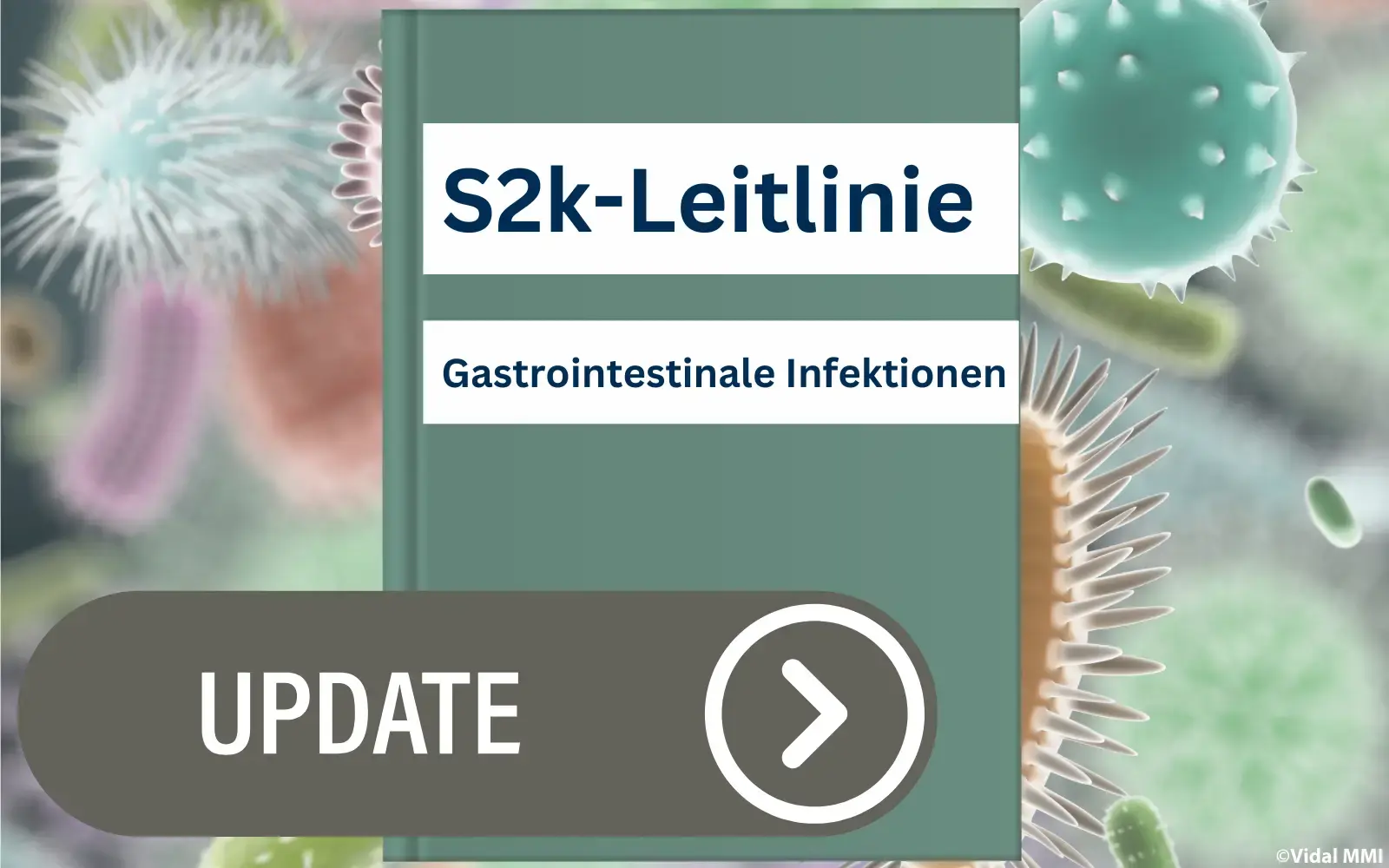 S2k-Leitlinie Gastrointestinale Infektionen