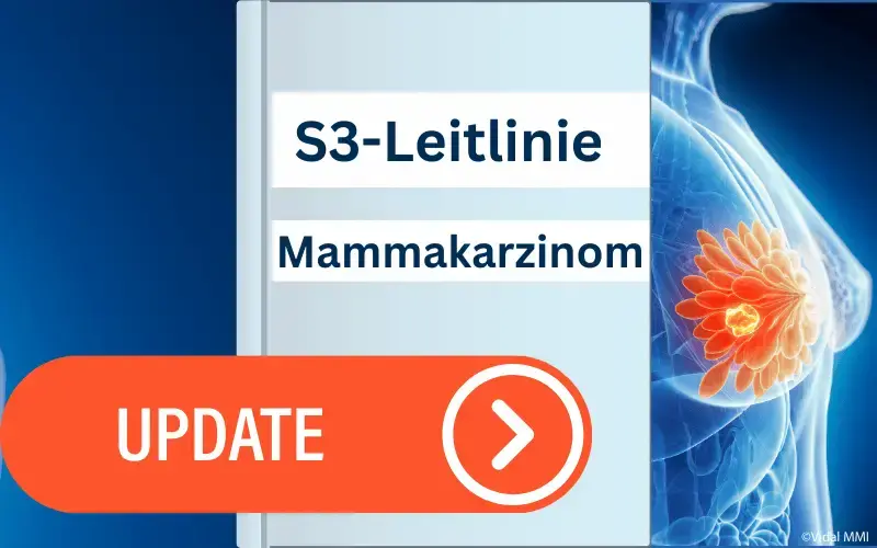 S3-Leitlinie-Mammakarzinom