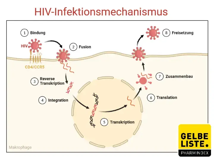 HIV
