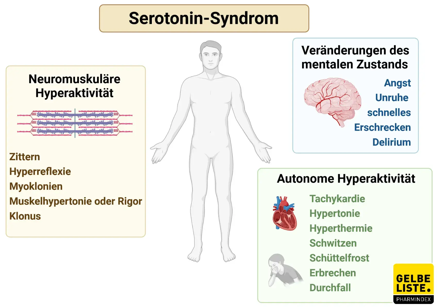 Wie äußert sich ein Serotoninmangel?