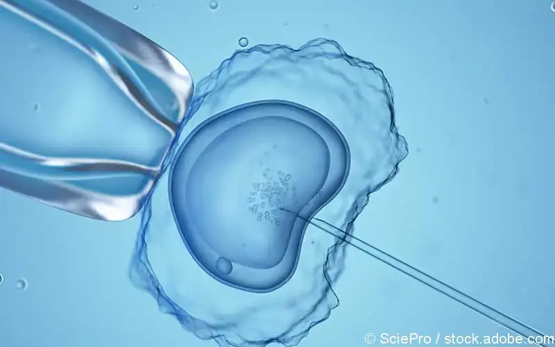 in-vitro-fertilisation