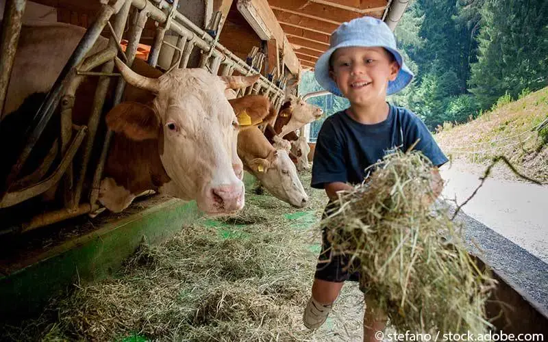 Kind Bauernhof