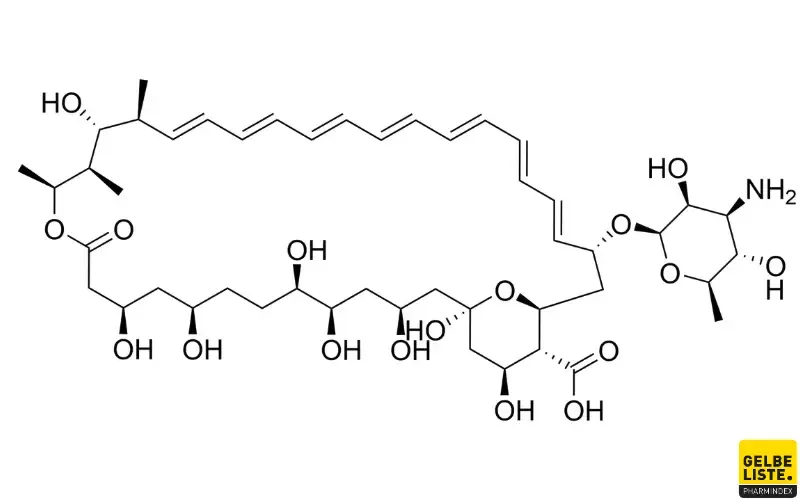 Amphotericin B neu