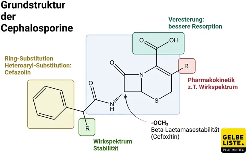 Cephalosporine 