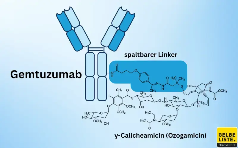 Gemtuzumab Ozogamicin
