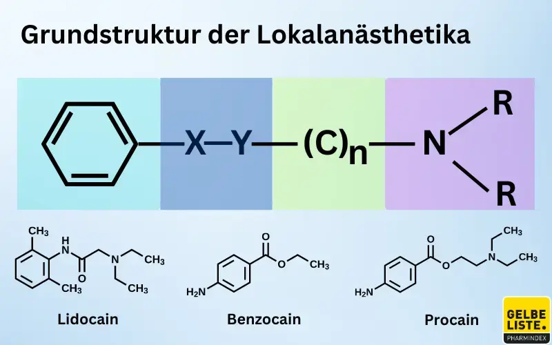 Lokalanästhetika Struktur