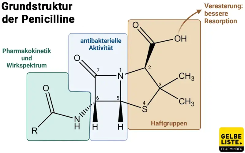 Penicilline Grundstruktur