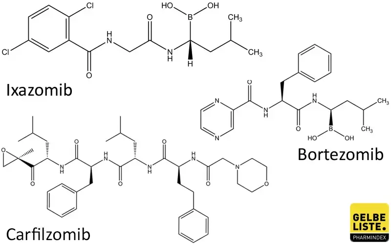 Proteasom-Inhibitoren
