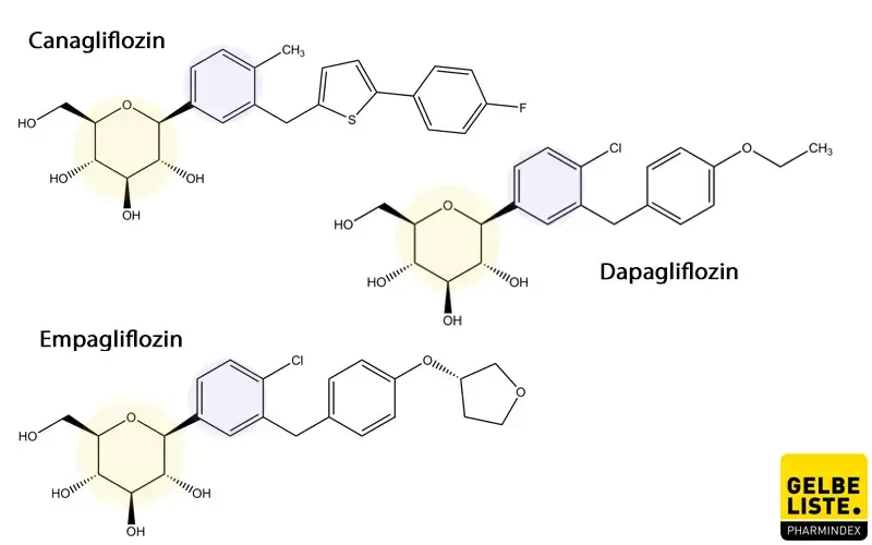 SGLT-2-Inhibitoren (Gliflozine)