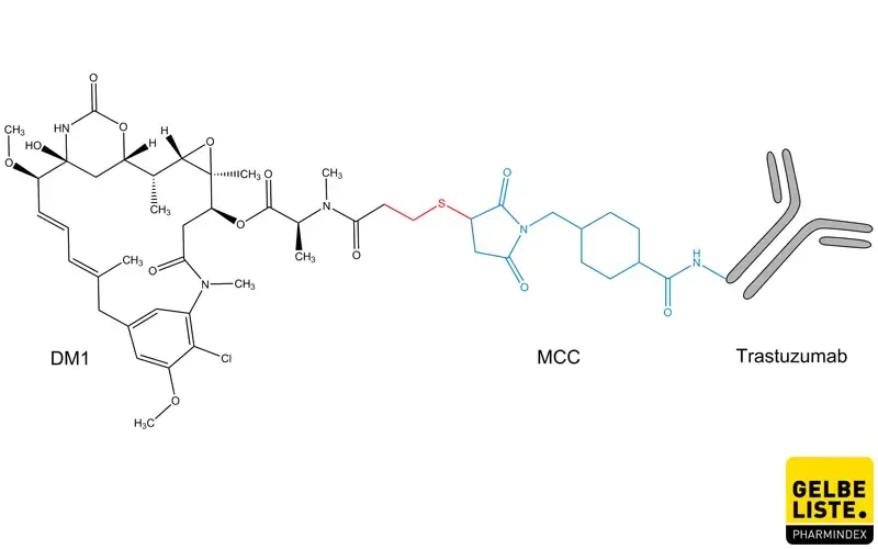 Trastuzumab emtansin - Anwendung, Wirkung, Nebenwirkungen | Gelbe Liste