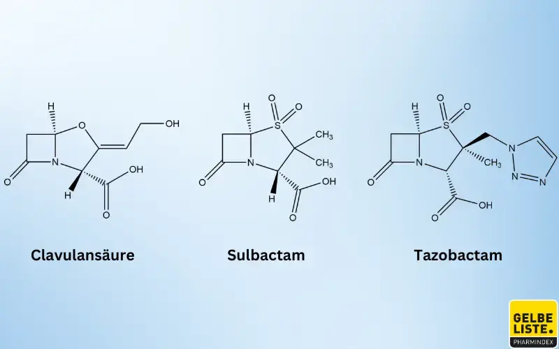 BetaLaktamaseInhibitoren Gelbe Liste