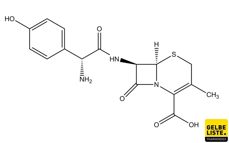 Cefadroxil Cefadroxil