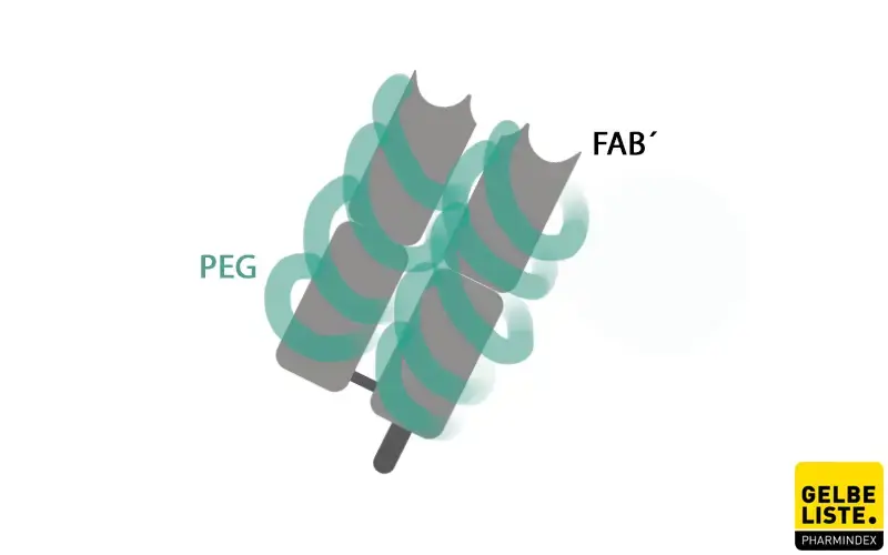 Certolizumab Pegol Certolizumab Pegol