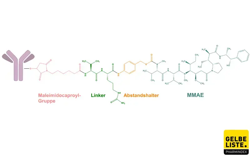 Enfortumab vedotin Enfortumab vedotin