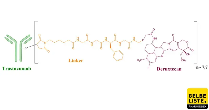 Trastuzumab Deruxtecan Trastuzumab Deruxtecan