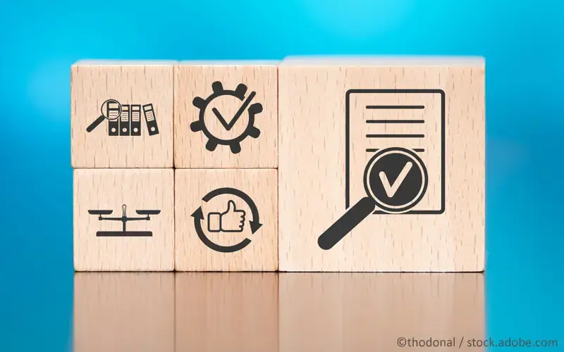 Entwicklung Leitlinie