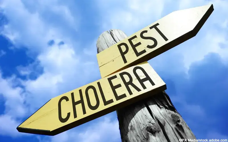 Pest Cholera Pest Cholera