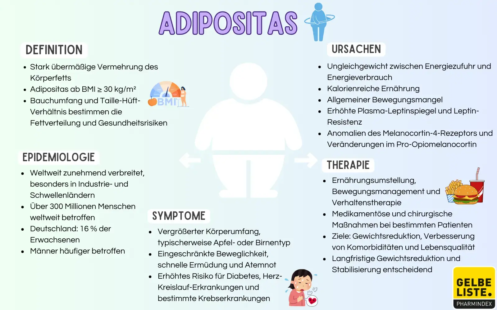 Adipositas Kompakt