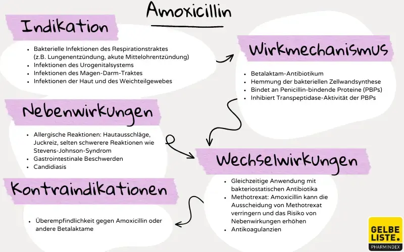 antibiotika amoxicillin kosten