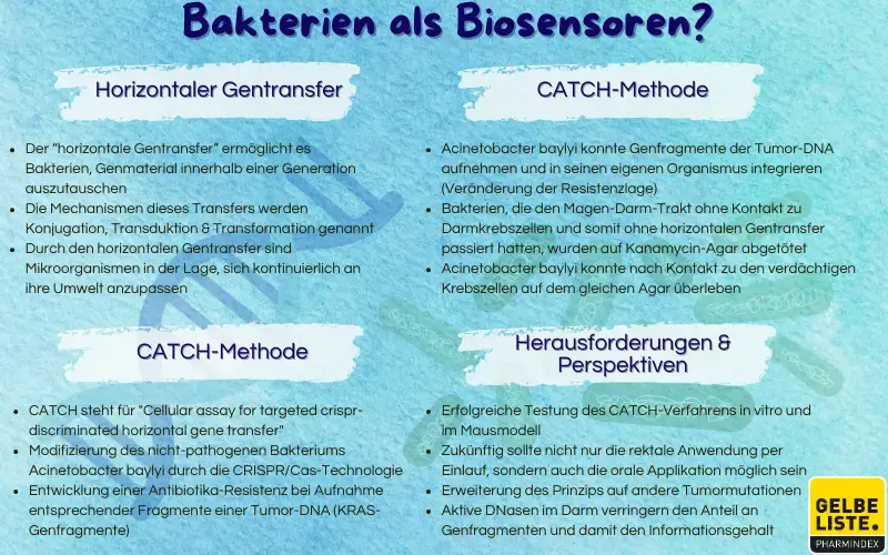 Bakterien als Biosensoren
