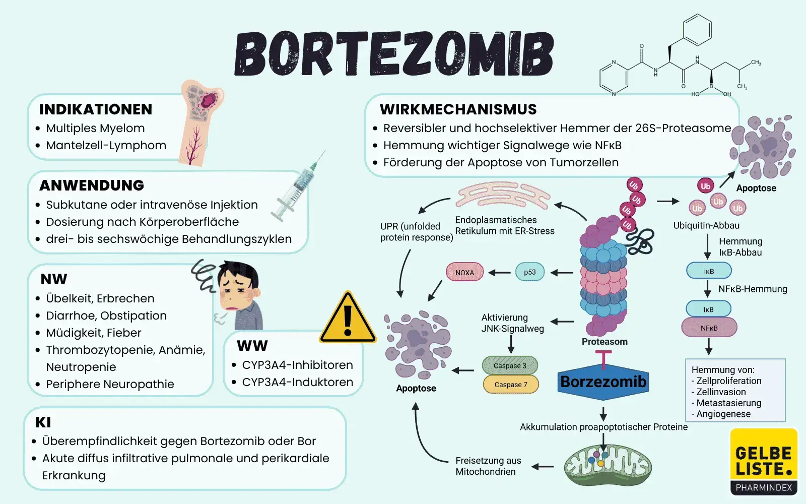 Bortezomib-GLO