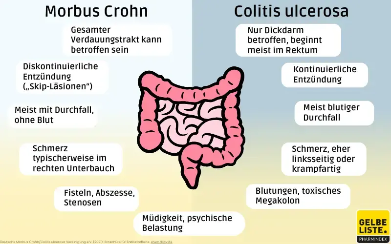 CED-Symptome-Liste_GLO