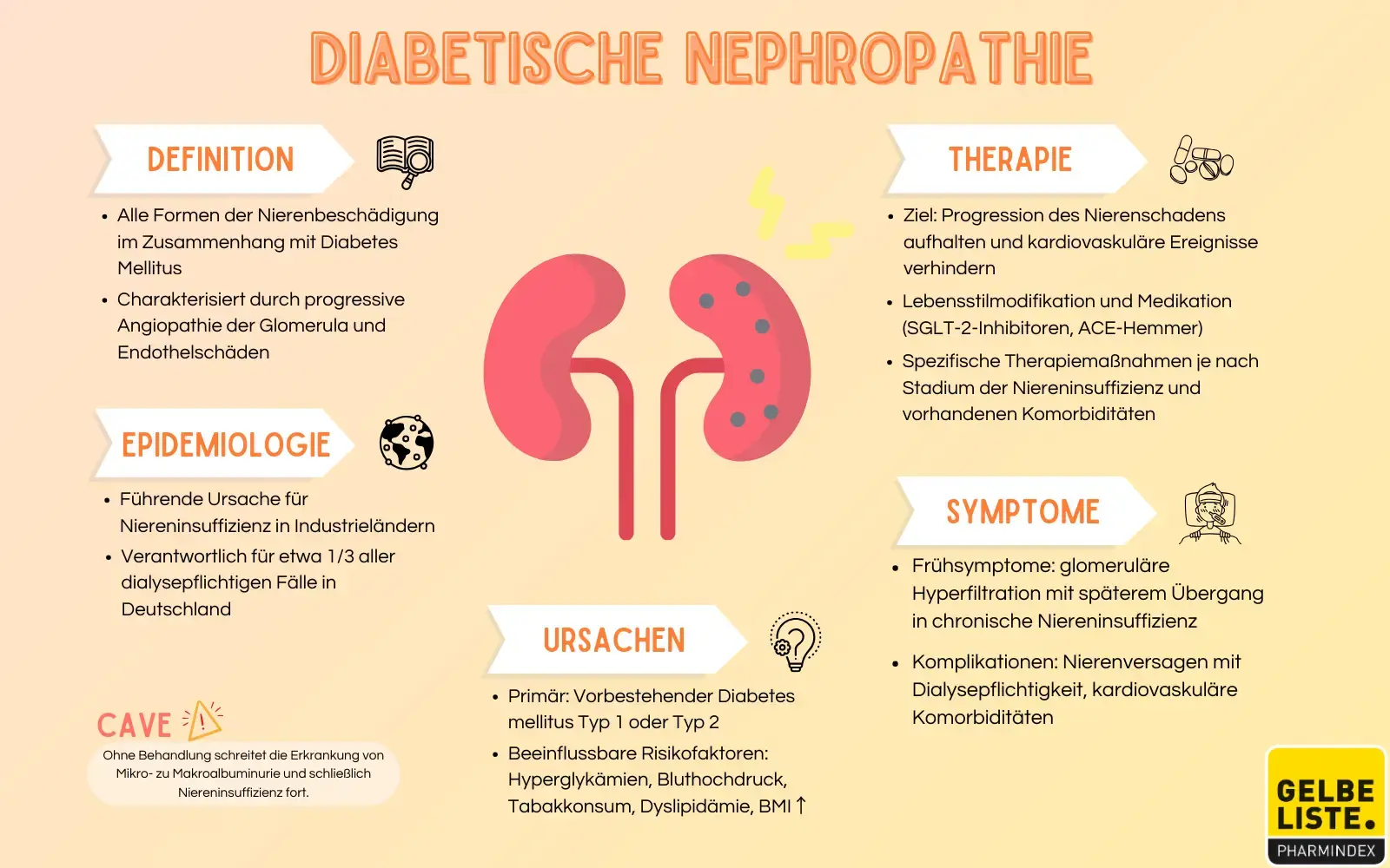 Diabetische Nephropathie Kompakt   Gelbe Liste