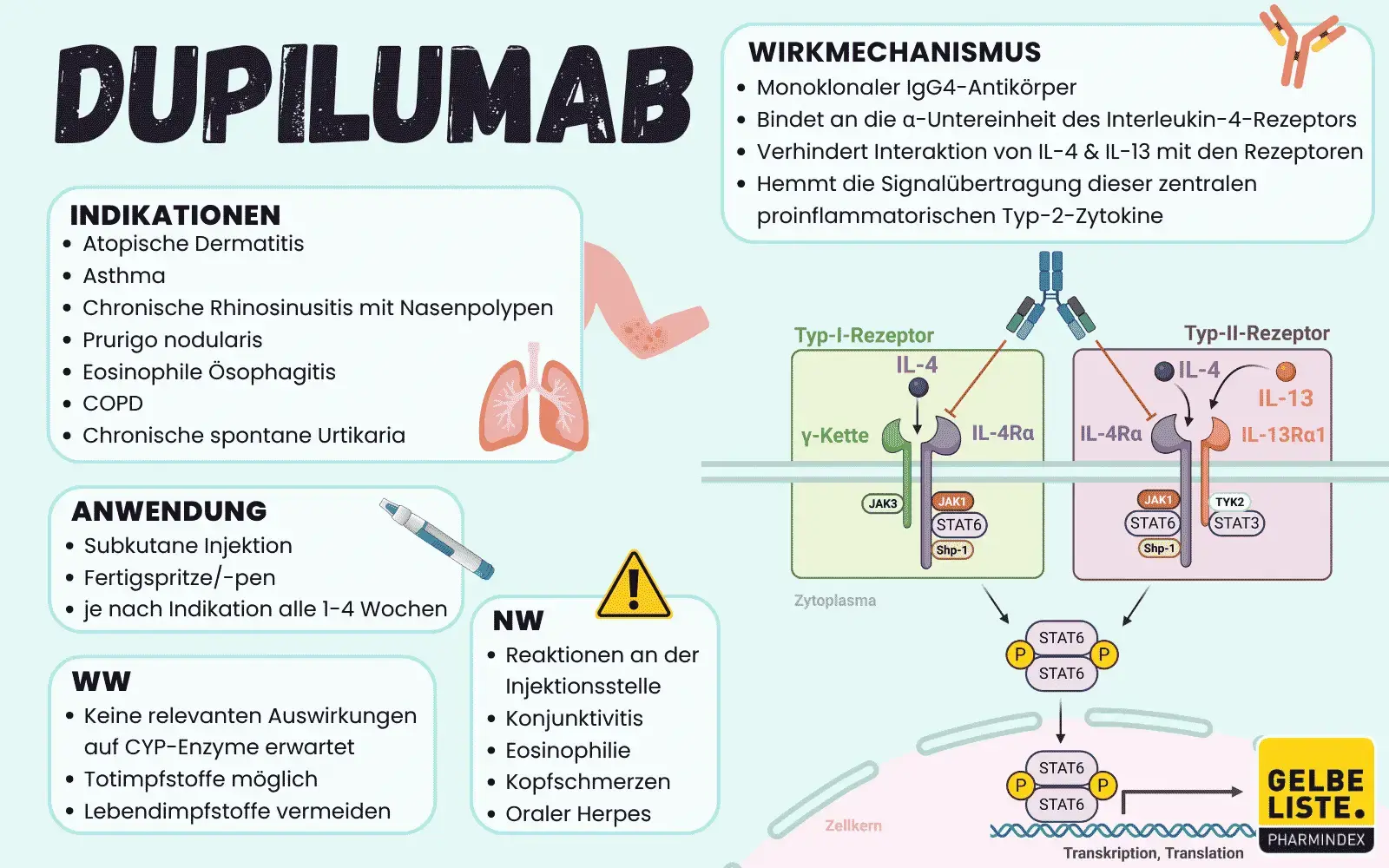 Dupilumab-GLO