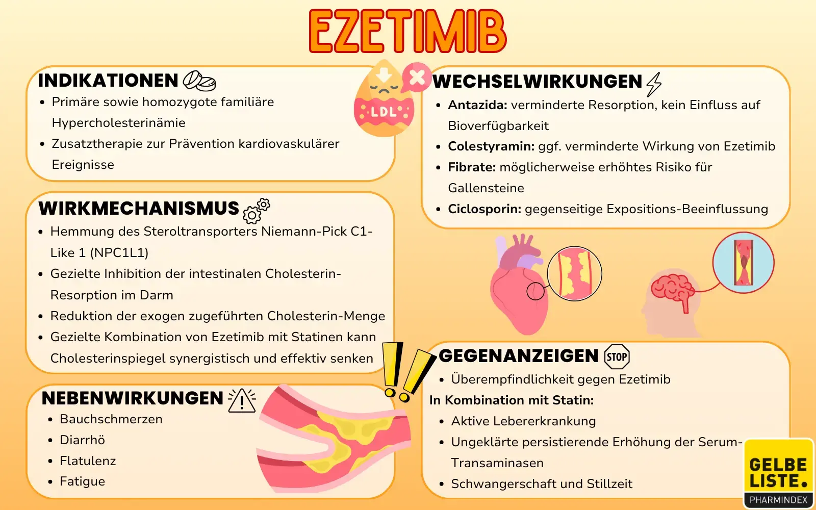 Ezetimib Kompakt