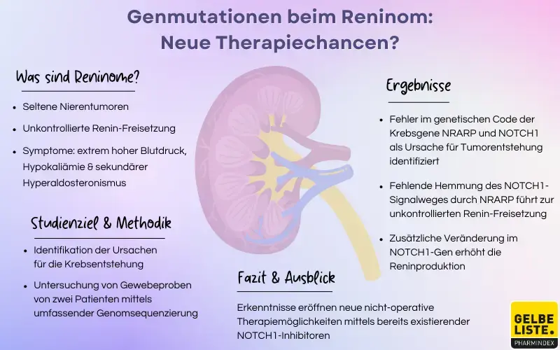 Genmutationen beim Reninom: Neue Therapiechancen? 