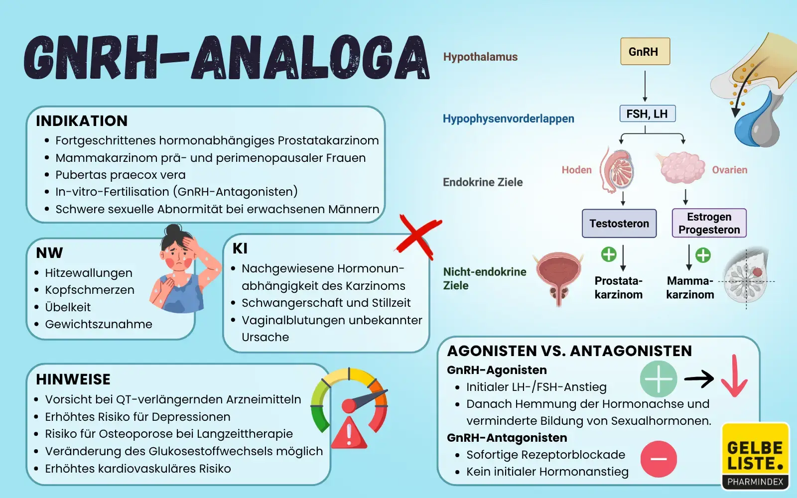 GnRH-Analoga-GLO
