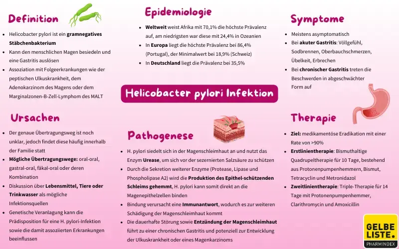 H. pylori Infektion