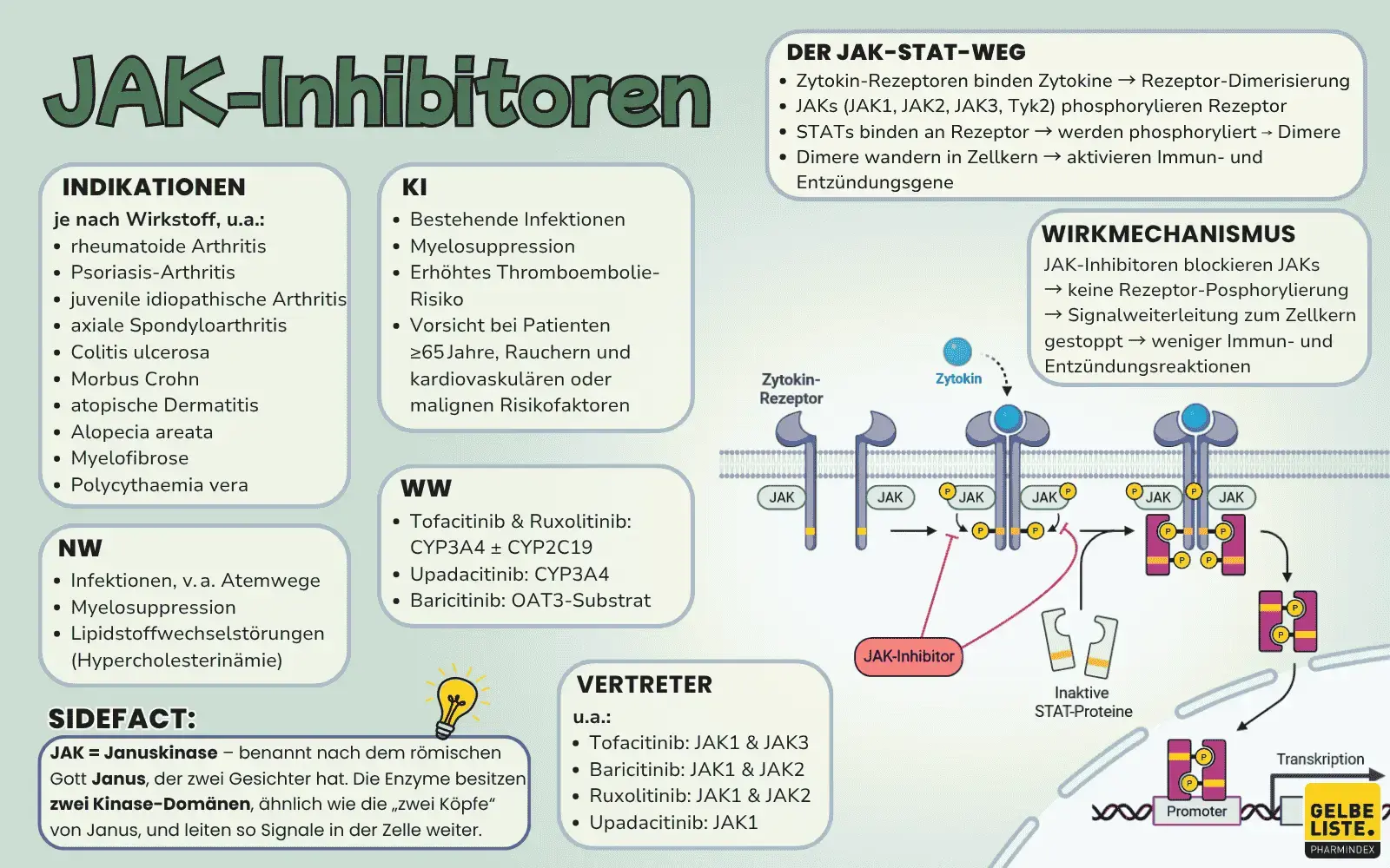 JAK-Inhibitoren-GLO