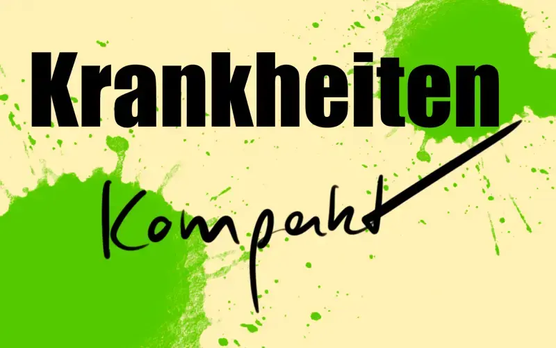 Krankheiten kompakt