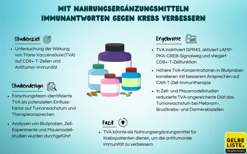 Mit Nahrungsergänzungsmitteln Immunantworten gegen Krebs verbessern