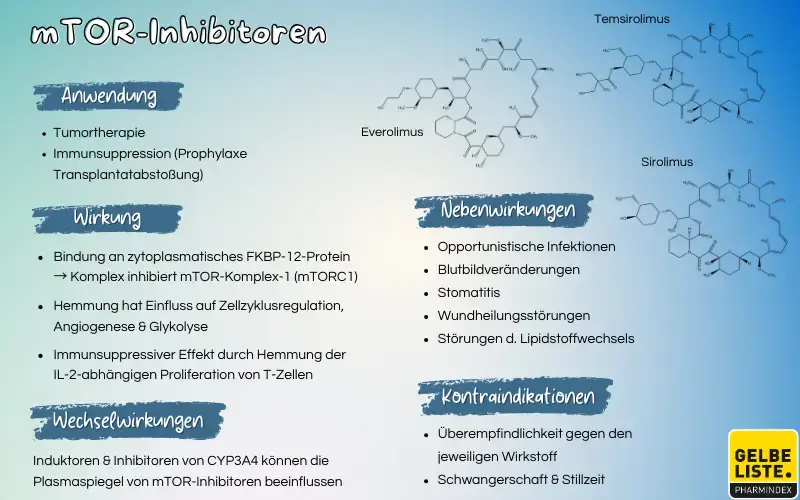 mTOR-Inhibitoren