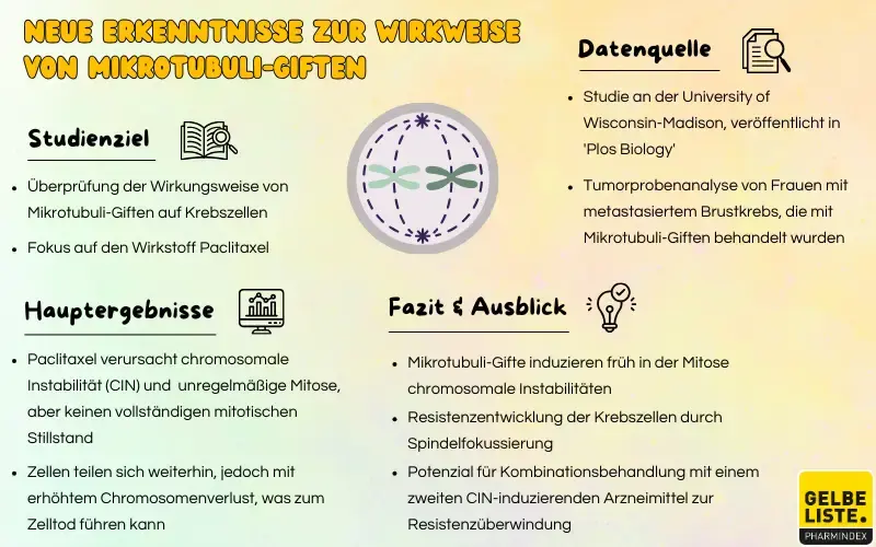 Neue Erkenntnisse zur Wirkweise von Mikrotubuli-Giften
