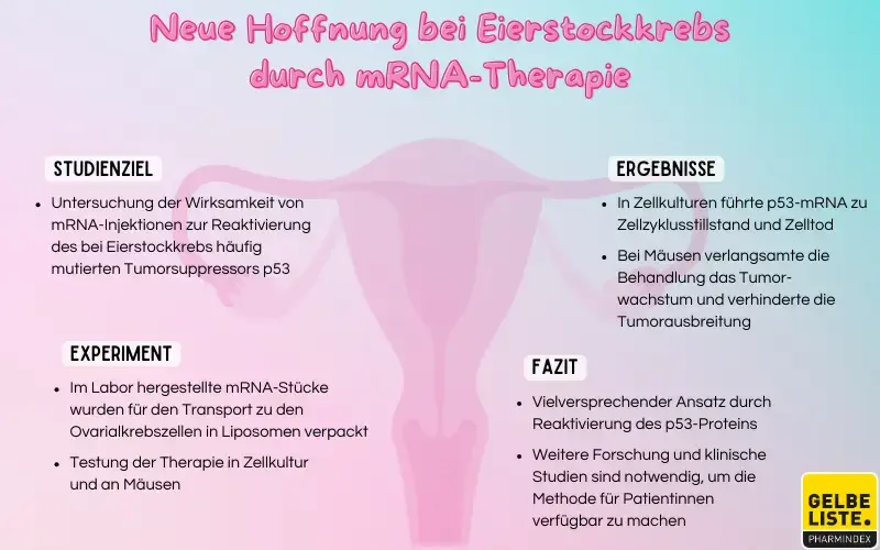 Neue Hoffnung bei Eierstockkrebs durch mRNA-Therapie