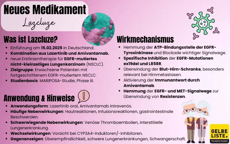 Neueinführung-Lazcluze Kompakt