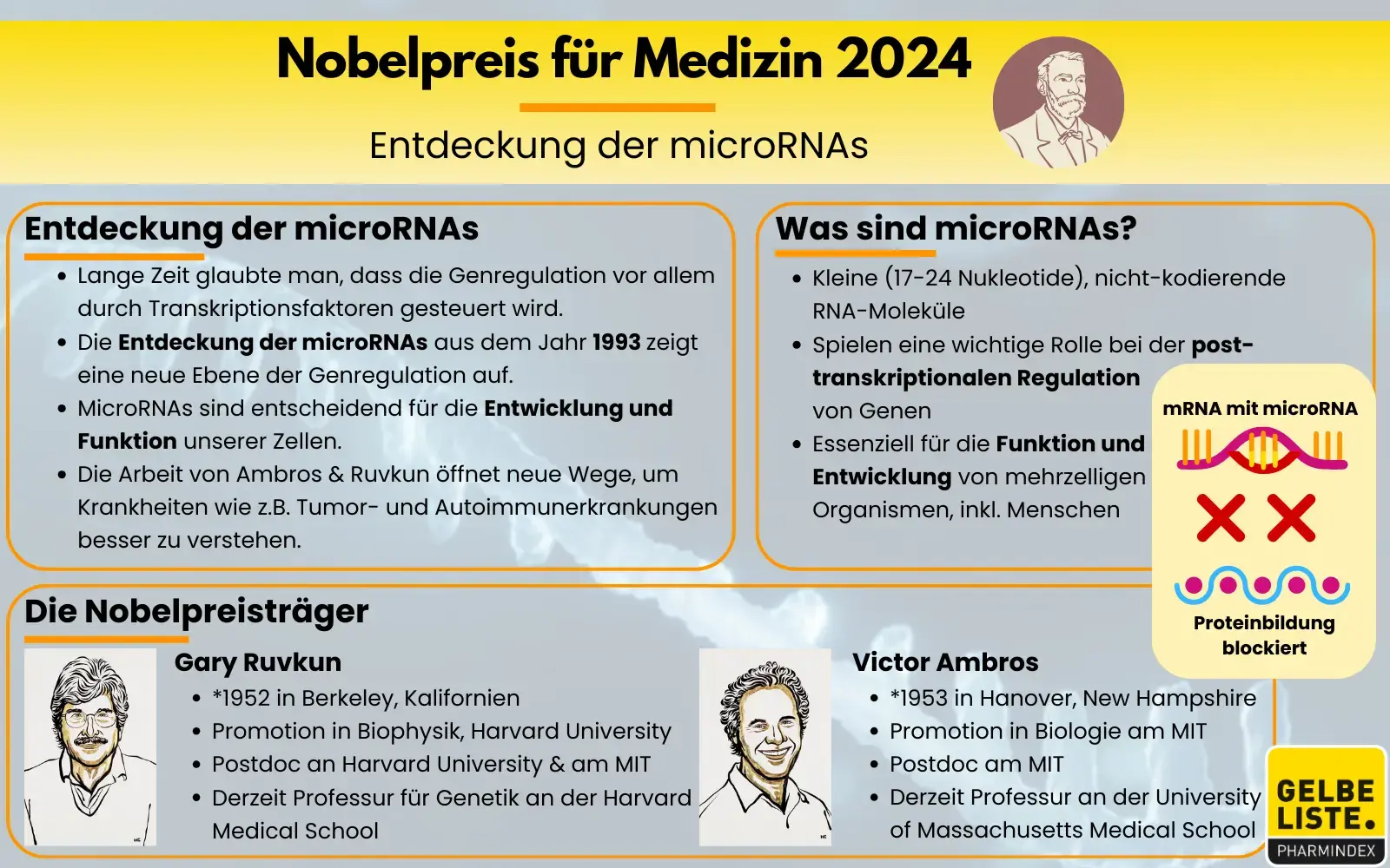 Nobelpreis für Medizin 2024 kompakt
