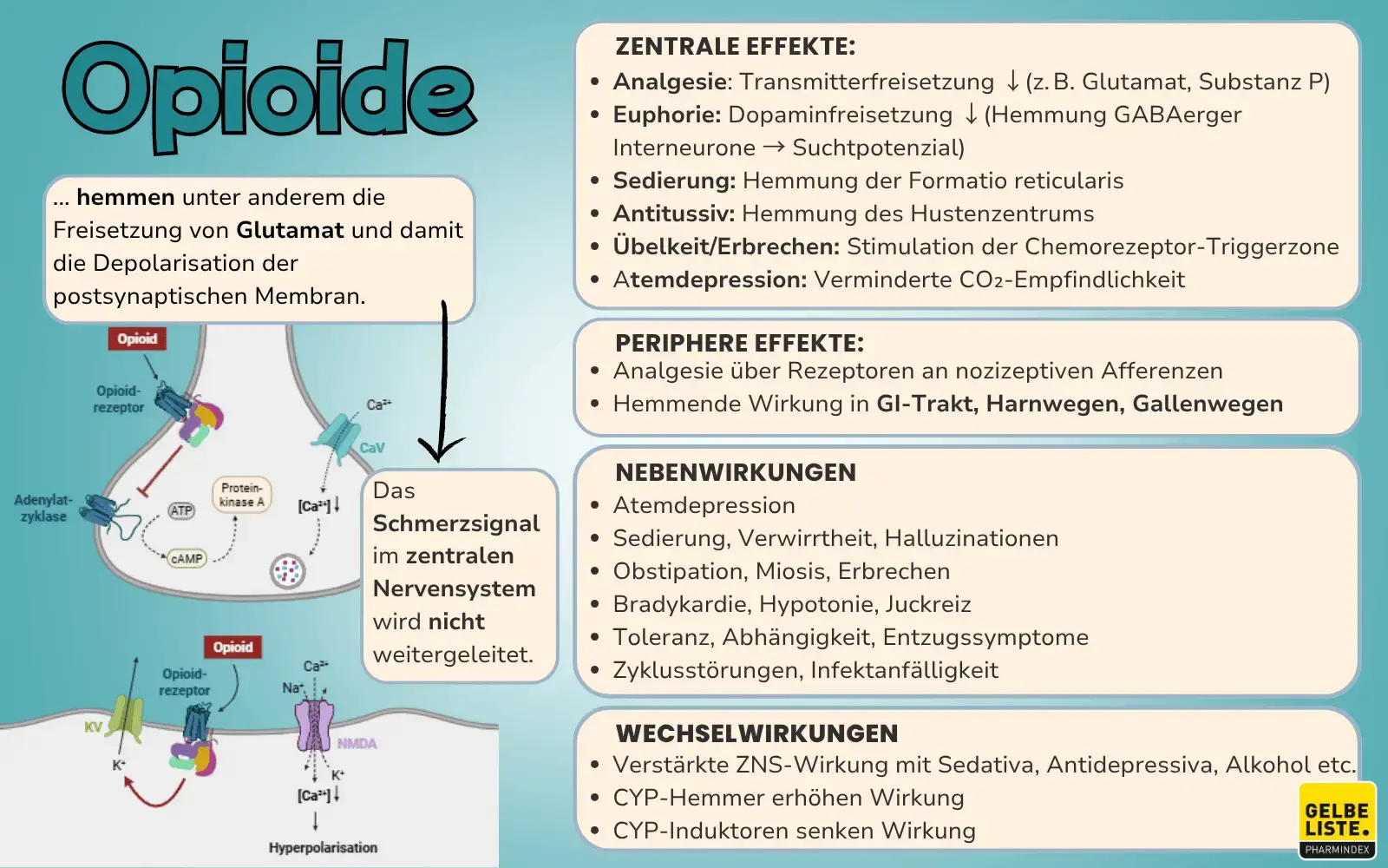 Opioide-GLO-1