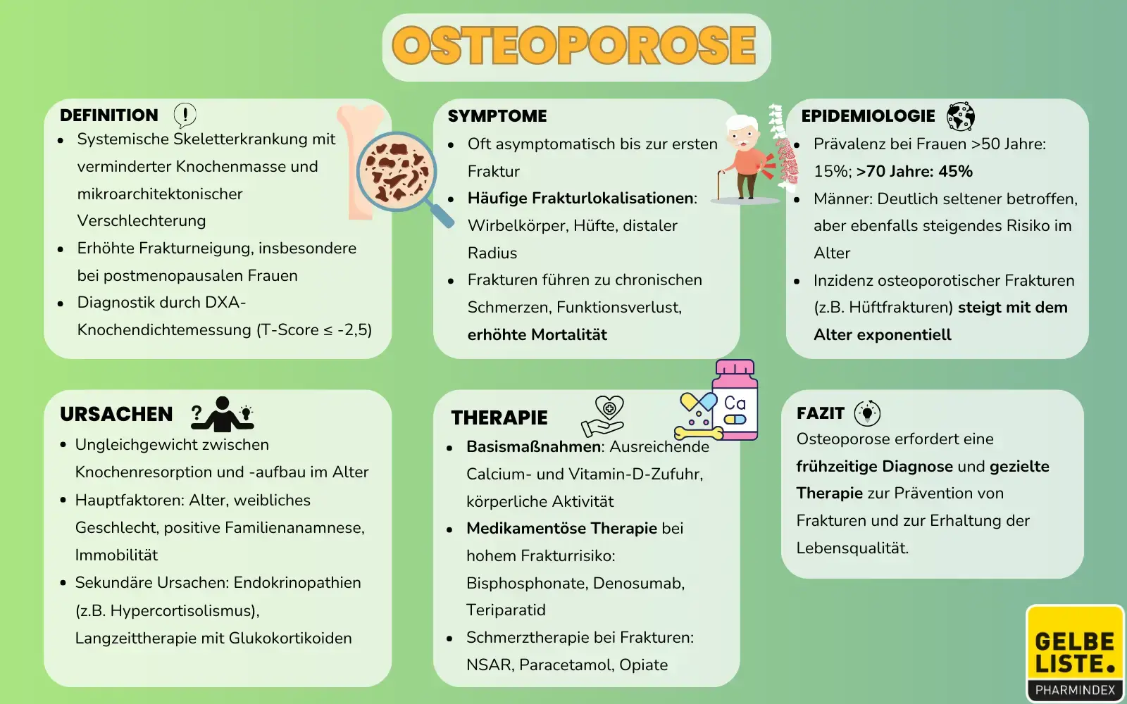 Osteoporose Kompakt
