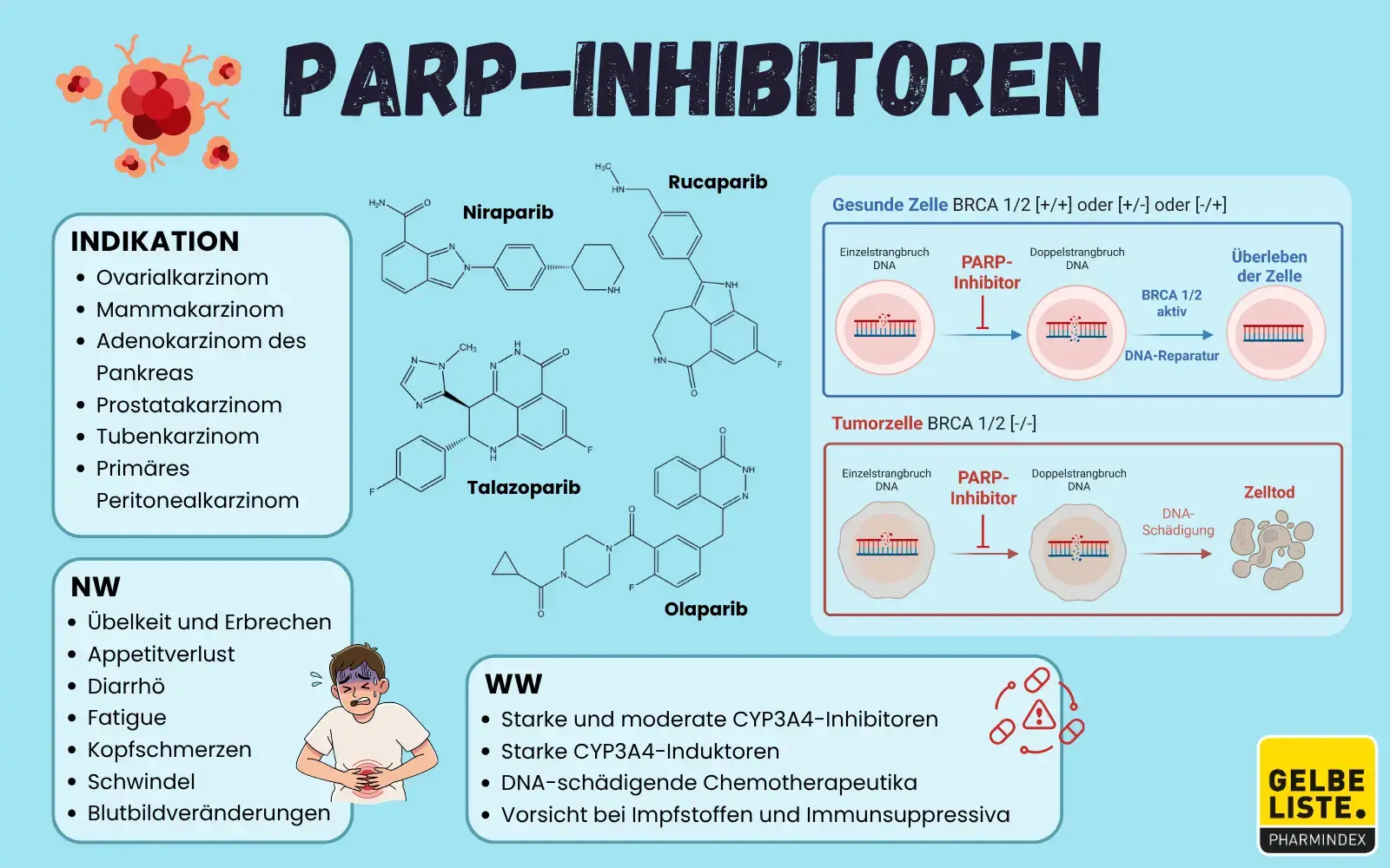 PARP-Inhibitoren-GLO