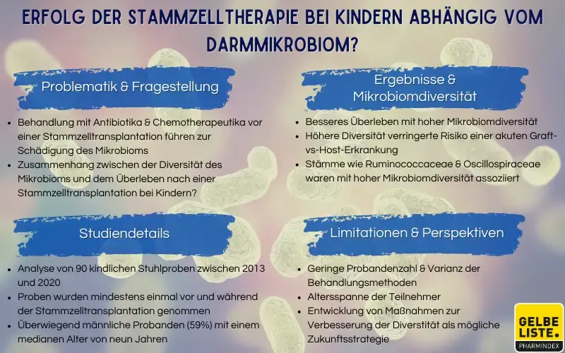 Stammzelltherapie und Darmmikrobiom