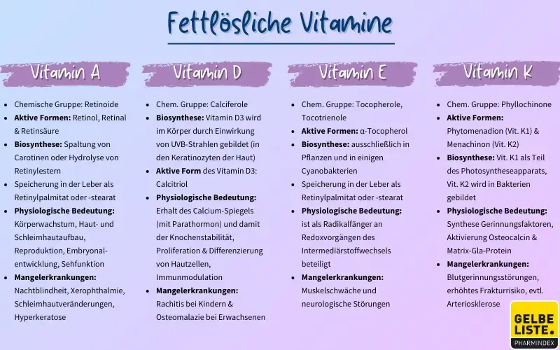 Vitamine fettlöslich kompakt