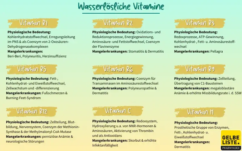Vitamine wasserlöslich kompakt