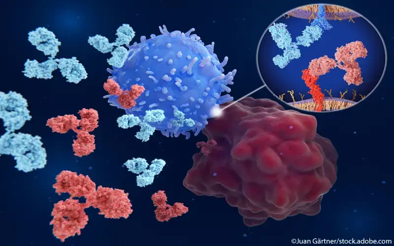 Immun-Checkpoint-Inhibitoren